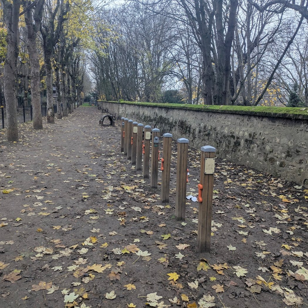 Parc canin 2